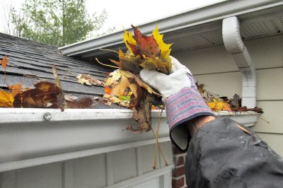 Gutter and Drainage Fixes