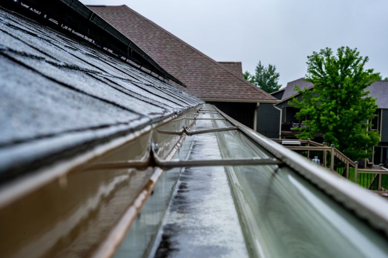 Gutter and Roof Maintenance